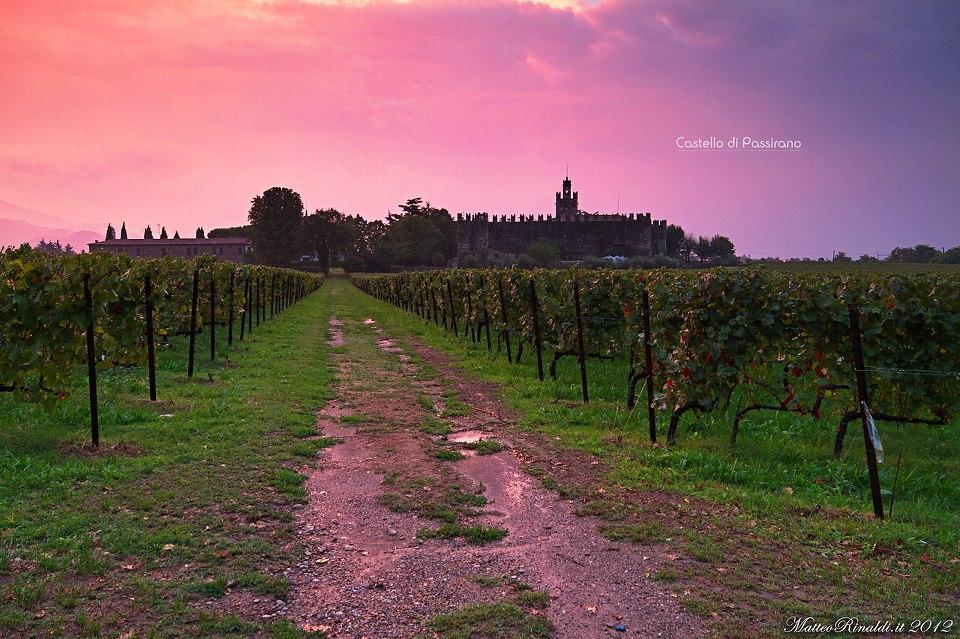 Wine & Lake In Franciacorta Passirano Exterior foto